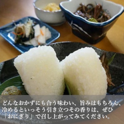 【毎月定期便】魚沼産 コシヒカリ 精米 5kg 共栄農工社のおいしいお米全3回