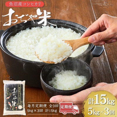 【毎月定期便】新潟県 魚沼産 コシヒカリ 精米5kg お申込み後に精米 おぢや米全3回