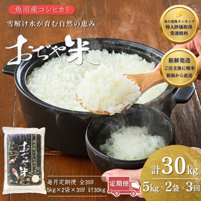 【毎月定期便】新潟県 魚沼産 コシヒカリ 精米10kg お申込み後に精米 おぢや米全3回