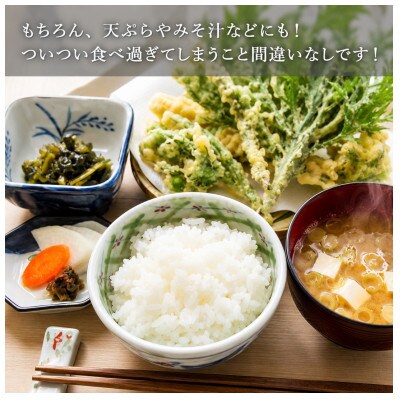 【発送月固定定期便】魚沼産コシヒカリ 精米15kg (10月下旬より発送)全4回