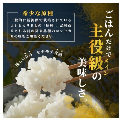 【発送月固定定期便】10月下旬より発送 昔ながらの魚沼産コシヒカリ精米5kg全4回