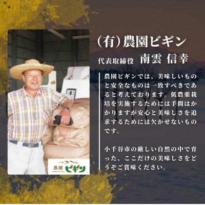 【発送月固定定期便】10月下旬より発送 昔ながらの魚沼産コシヒカリ精米10kg全3回