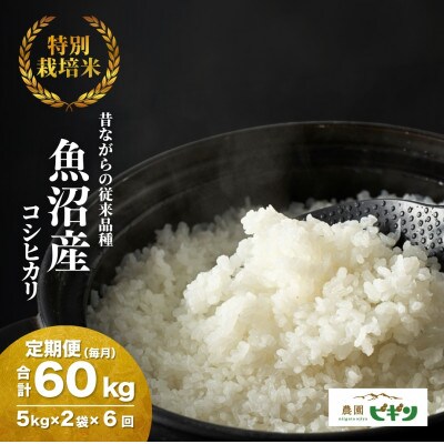 【発送月固定定期便】10月下旬より発送 昔ながらの魚沼産コシヒカリ精米10kg全6回