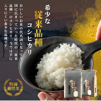 【発送月固定定期便】10月下旬より発送 昔ながらの魚沼産コシヒカリ精米10kg全6回
