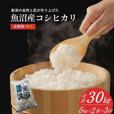 【発送月固定定期便】10月下旬より発送 魚沼産コシヒカリ 精米 10kg 共栄 全3回