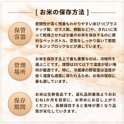 【発送月固定定期便】10月下旬より発送 魚沼産コシヒカリ 精米 10kg 共栄 全3回