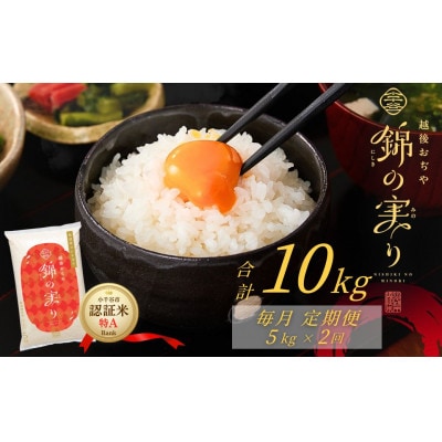 【毎月定期便】魚沼産コシヒカリ 小千谷市 認証米「錦の実り」特Aランク 精米5kg全2回