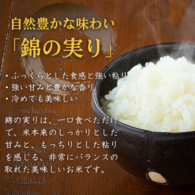 【2ヵ月毎定期便】魚沼産コシヒカリ 小千谷市認証米 錦の実り 特A 精米 10kg全4回