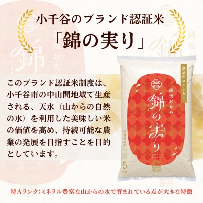 【2ヵ月毎定期便】魚沼産コシヒカリ 小千谷市認証米 錦の実り 特A 精米 10kg全4回