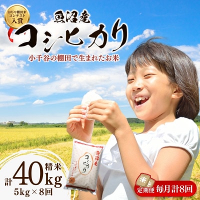 【毎月定期便】魚沼産 コシヒカリ 棚田米 精米 5kg全8回
