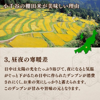 【毎月定期便】魚沼産 コシヒカリ 棚田米 精米 10kg全3回