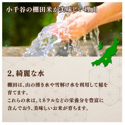【毎月定期便】魚沼産 コシヒカリ 棚田米 精米 10kg全8回