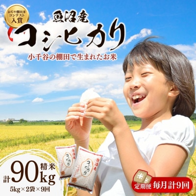 【毎月定期便】魚沼産 コシヒカリ 棚田米 精米 10kg全9回