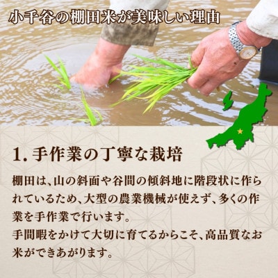【毎月定期便】魚沼産 コシヒカリ 棚田米 精米 10kg全9回