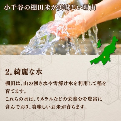 【毎月定期便】魚沼産 コシヒカリ 棚田米 精米 10kg全9回