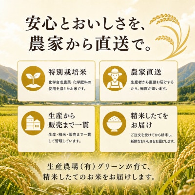 【新米】令和8年産 魚沼産コシヒカリ 10kg 特別栽培米