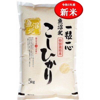 新米先行受付 令和4年産 特別栽培米 魚沼産コシヒカリ 5kg お礼品詳細 ふるさと納税なら さとふる