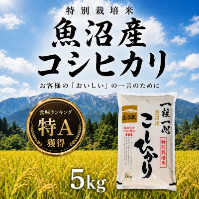 【新米】令和8年産 魚沼産コシヒカリ 5kg 特別栽培米