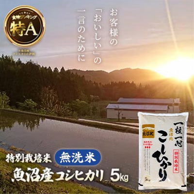 《無洗米》魚沼産コシヒカリ5kg【特別栽培米】令和6年産