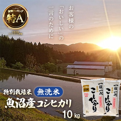《無洗米》魚沼産コシヒカリ10kg【特別栽培米】令和6年産