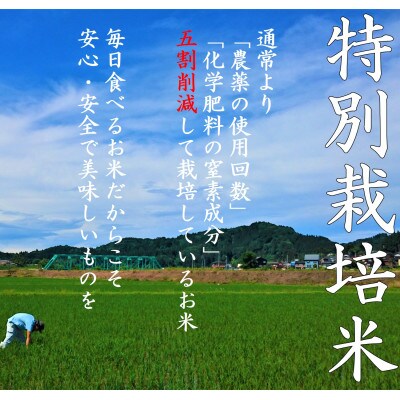 《無洗米》魚沼産コシヒカリ10kg【特別栽培米】令和6年産