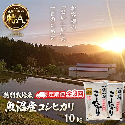 【毎月定期便】《特別栽培米》魚沼産コシヒカリ　10kg 全3回