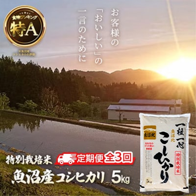 【毎月定期便】《特別栽培米》魚沼産コシヒカリ　5kg 全3回
