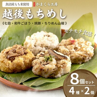 越後もちめし　8個(2個×4種)入り
