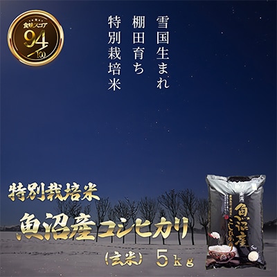魚沼産コシヒカリ 棚田米 玄米5kg