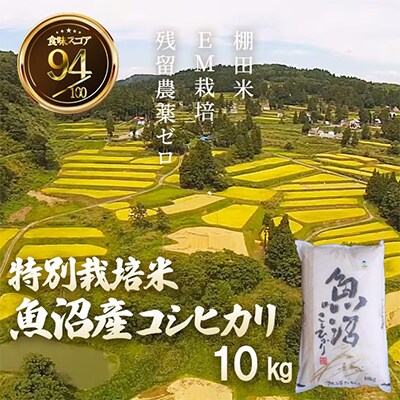 魚沼産コシヒカリ 棚田米 精米10kg