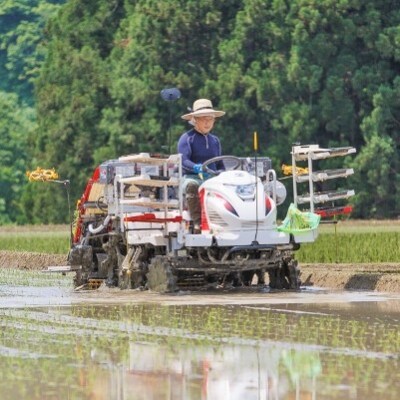 魚沼産コシヒカリ・棚田米5kg(玄米)+黒米あまざけ500ml