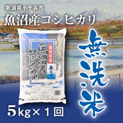 魚沼産コシヒカリ無洗米(精米)5kg