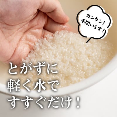 魚沼産コシヒカリ無洗米(精米)5kg