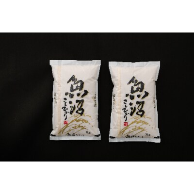 魚沼産コシヒカリ 3kg×2袋