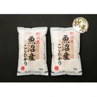 新米!令和5年産魚沼産コシヒカリ　5kg×2袋