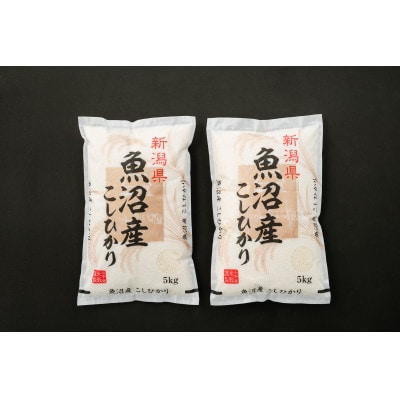 令和5年産魚沼産コシヒカリ　5kg×2袋
