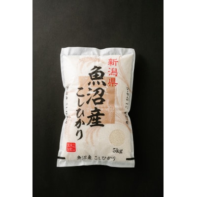 令和8年産魚沼産コシヒカリ　5kg