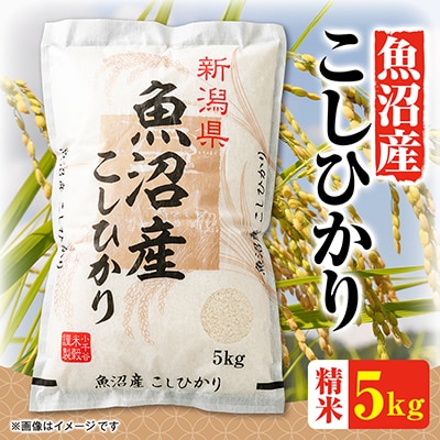 令和8年産魚沼産コシヒカリ　5kg | ふるさと納税のお礼品
