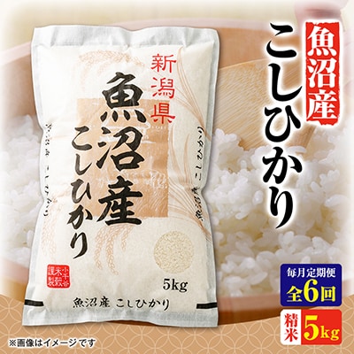 【毎月定期便】魚沼産コシヒカリ　5kg全6回