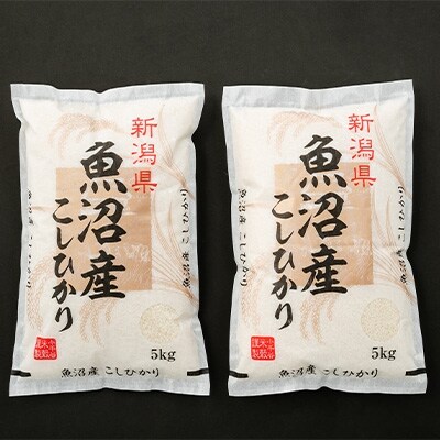 2023年4月発送開始『定期便』魚沼産コシヒカリ10kg(5kg×2袋)全3回