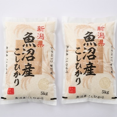2023年4月発送開始『定期便』魚沼産コシヒカリ10kg(5kg×2袋)全3回