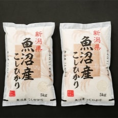 2023年11月発送開始『定期便』魚沼産コシヒカリ10kg(5kg×2袋)全6回