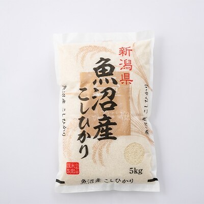 2023年2月発送開始『定期便』魚沼産コシヒカリ　5kg全6回