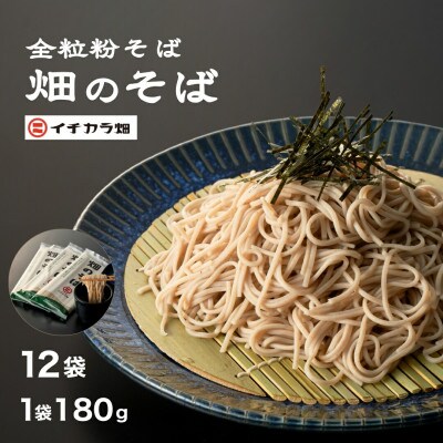 【イチカラ畑】畑のそば乾麺　180g×12個(24人前)