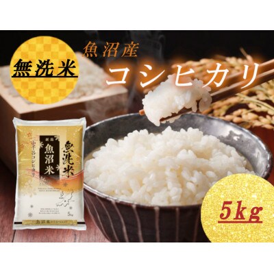 雪室貯蔵 魚沼産コシヒカリ 無洗米 5kg