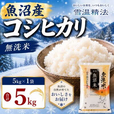雪室貯蔵 魚沼産コシヒカリ 無洗米 5kg