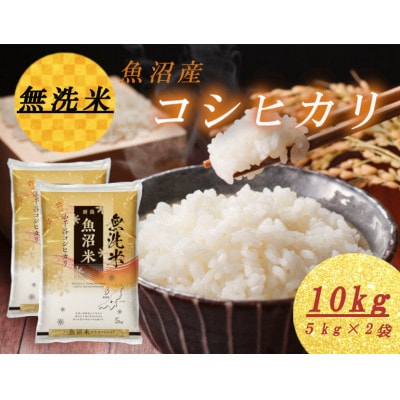 雪室貯蔵 魚沼産コシヒカリ 無洗米 5kg×2
