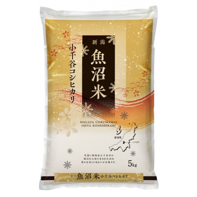 【毎月定期便】【頒布会】雪室貯蔵魚沼産コシヒカリ　精米　5kg全6回