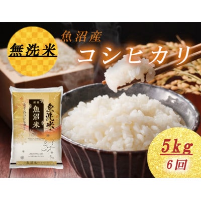【毎月定期便】【頒布会】無洗米　雪室貯蔵魚沼産コシヒカリ5kg全6回