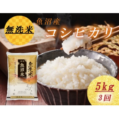 【毎月定期便】無洗米　雪室貯蔵魚沼産コシヒカリ5kg全3回
